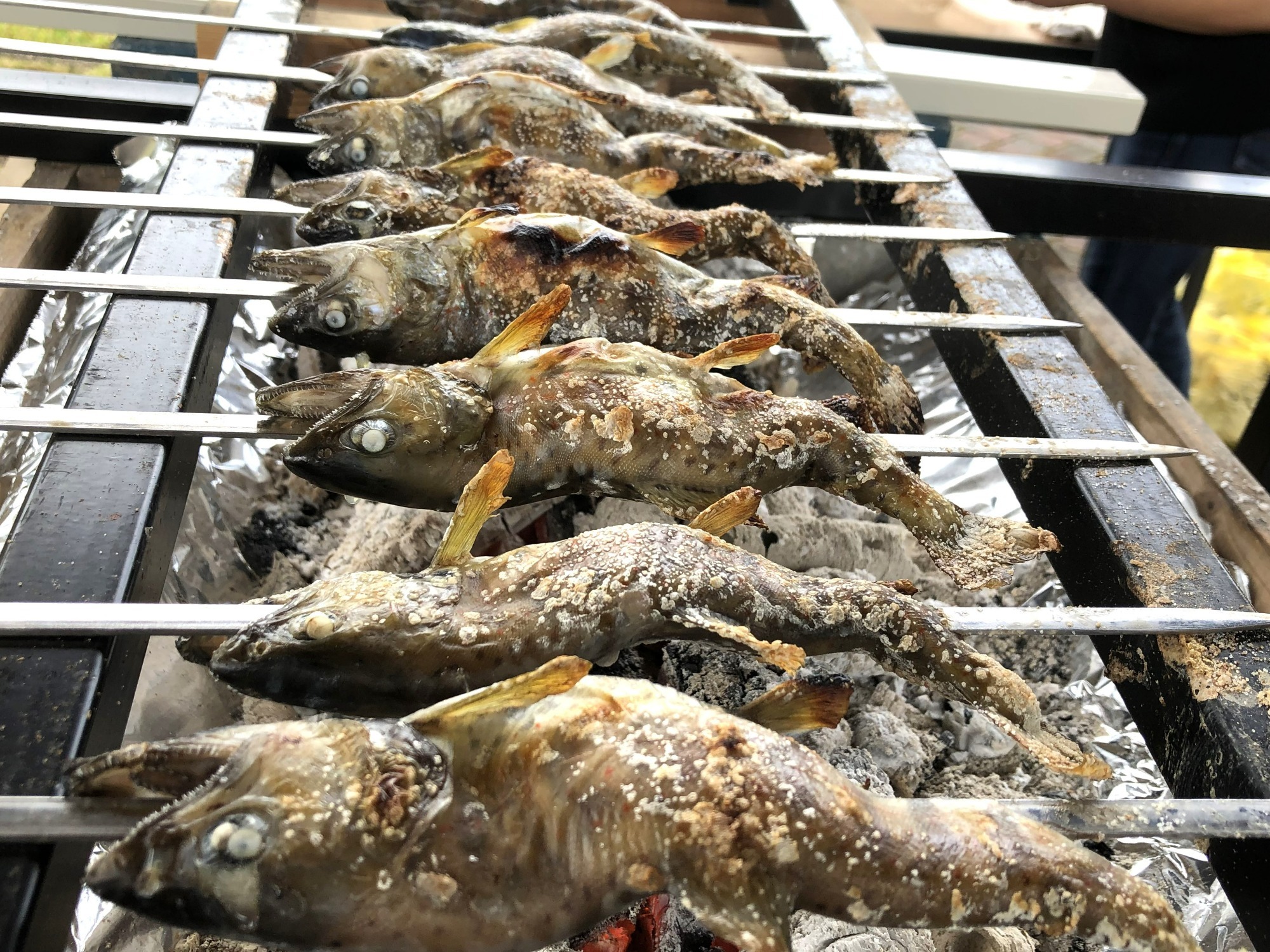 お知らせ お知らせ